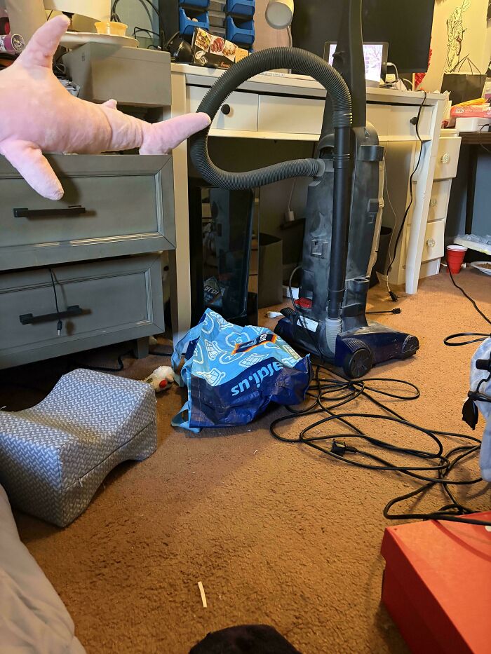 Find The Cat Who Mastered Disappearing