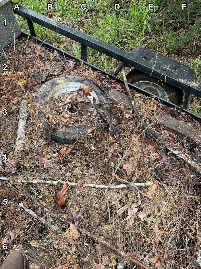 Find The Copperhead Master of Camouflage