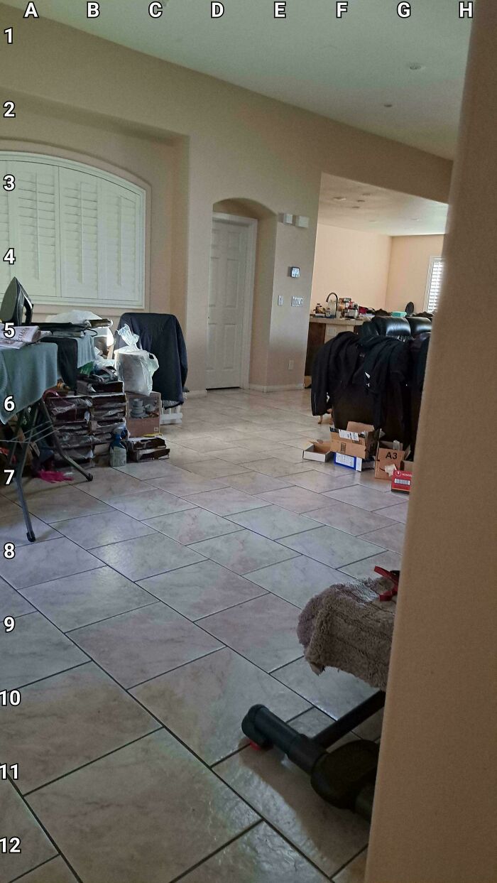 Find The Dog That’s Playing Hide-And-Seek