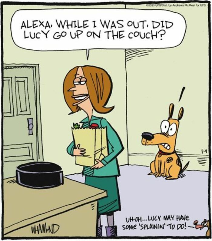 These 26 Dave Whamond Cartoons Make Everyday Life Way More Ridiculous (And Funny!)