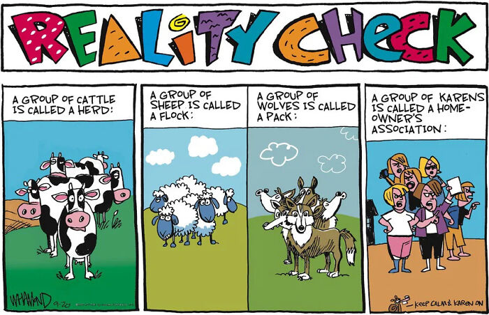 These 26 Dave Whamond Cartoons Make Everyday Life Way More Ridiculous (And Funny!)