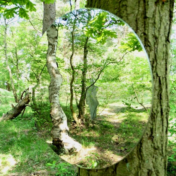 Woods