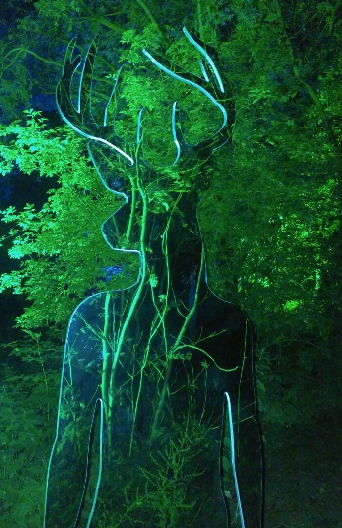 Glastonbury Stag