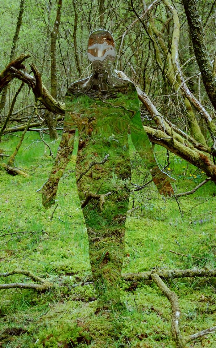 Vestige