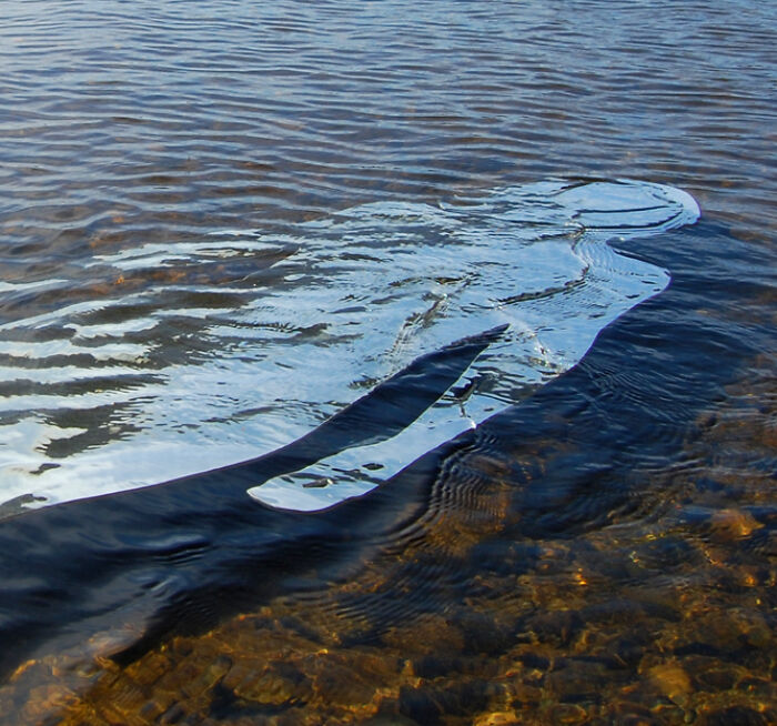 Water Bound