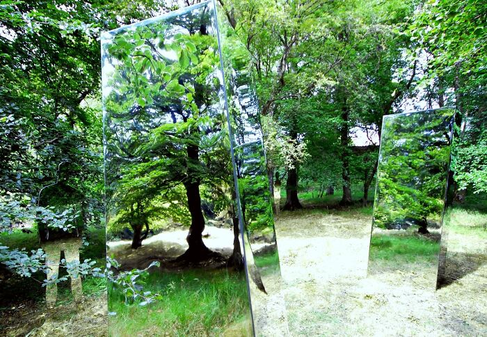 Natural Creation