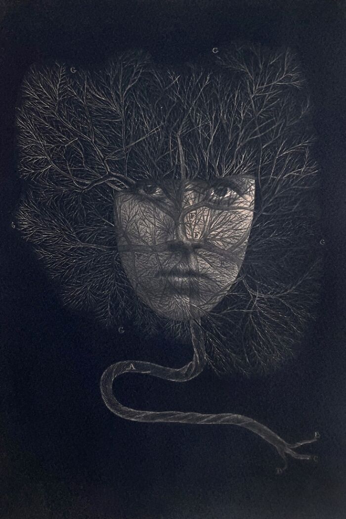 "Limpha" by Katarzyna Kalua Kryńska, Poland