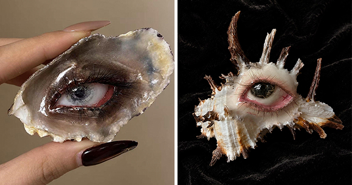 Wait, They Put Human Eyes on Seashells and It’s Weirdly Awesome