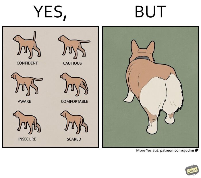 27 Hilarious “Yes, But” Comics That Nail How Reality Loves to Mess With Our Plans