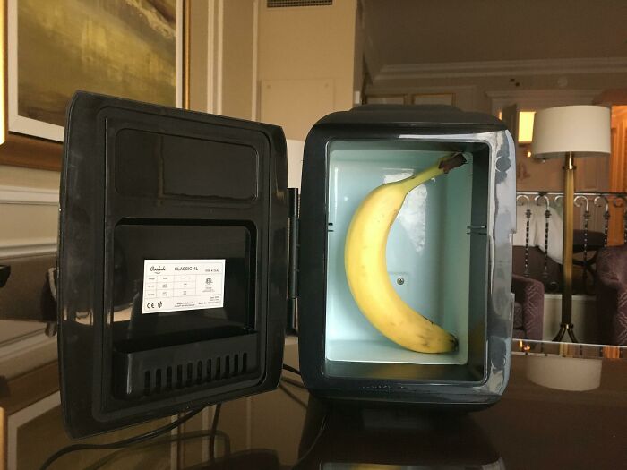 Asked for a Mini-Fridge, Got a Mini... Banana? Scale Included!