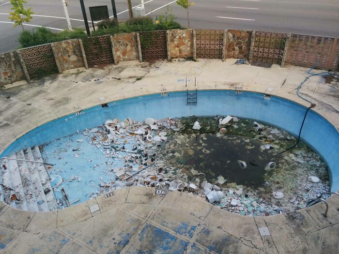 Hotel Pool or Toilet Exhibit? You Decide.