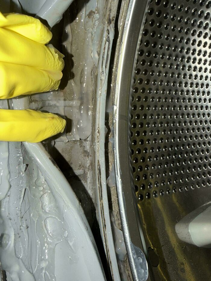 Moldy Sheets From a Moldy Washer? Sure, Let’s Clean the Washer Ourselves!