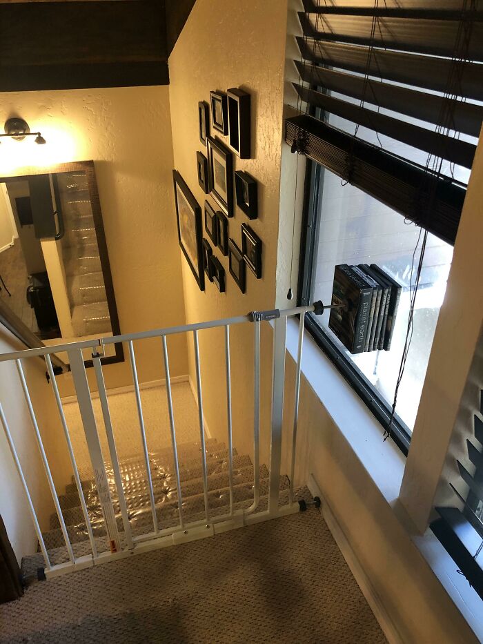 Wait, They Actually Took These Hotel And Airbnb Fails?!