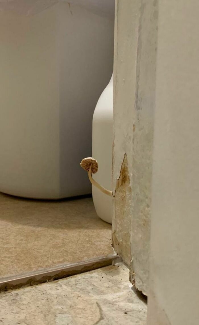 Wait, They Actually Took These Hotel And Airbnb Fails?!