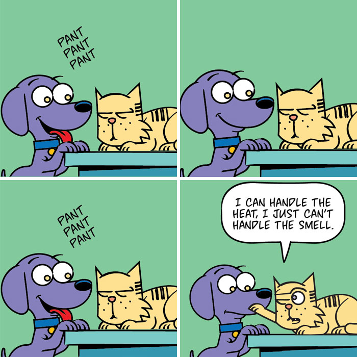 Wait ‘Til You See What These Rescue Dog and Cat Roommates Get Up To! (25 Comics)