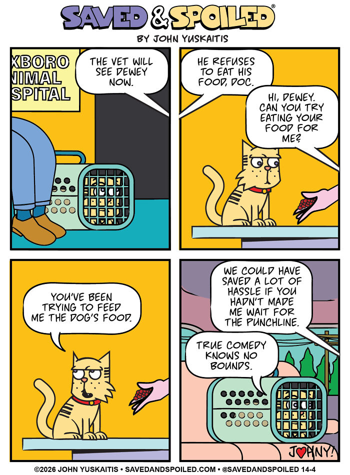 The Punch Line