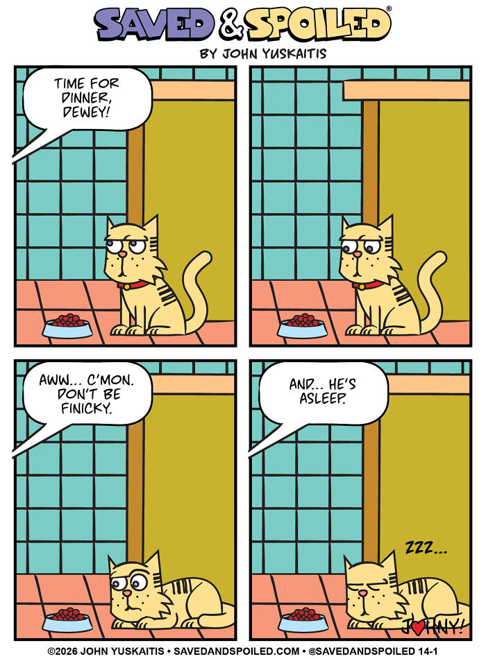 Fini-Kitty