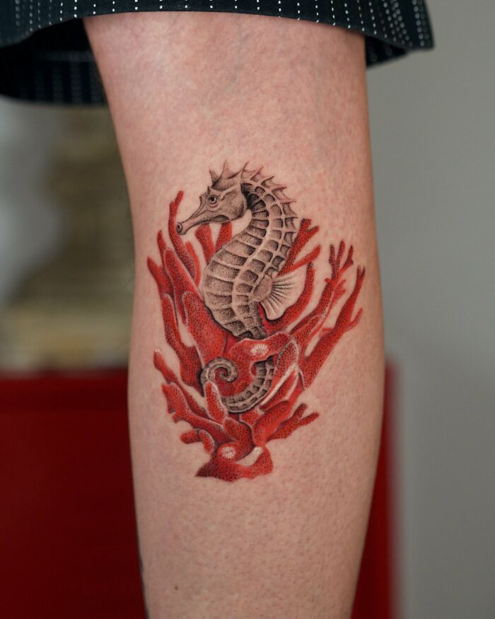 Luck And Patience Buddy: Seahorse