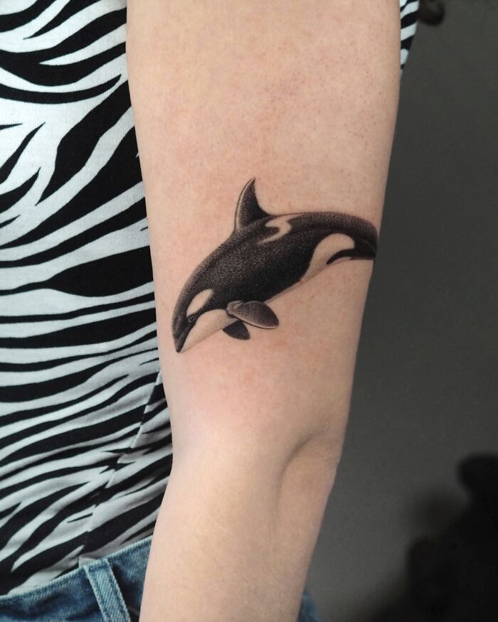 The Family VIP: Killer Whale (Orca)