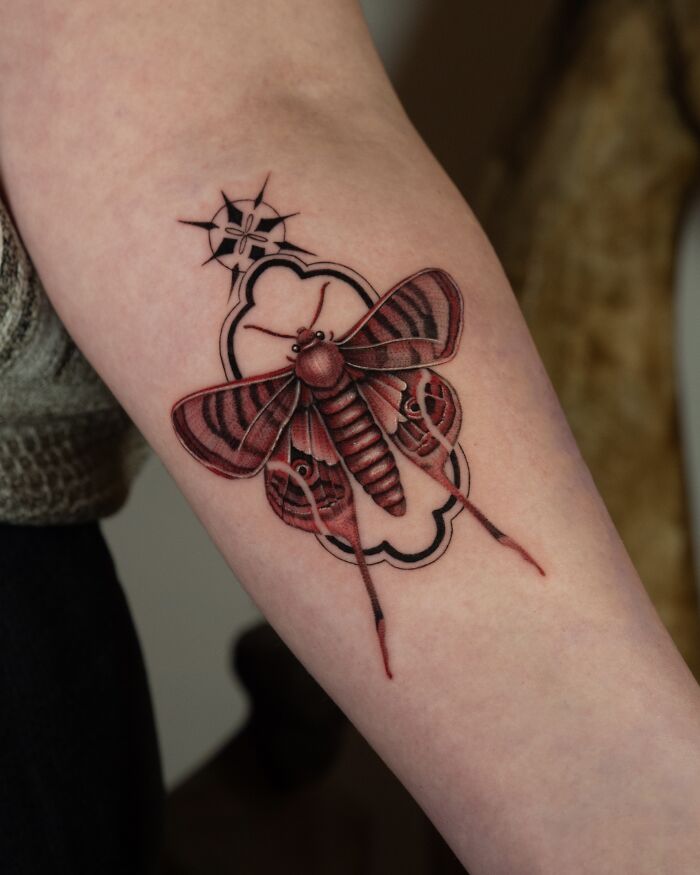Moth Magic: Transformation And Mystery