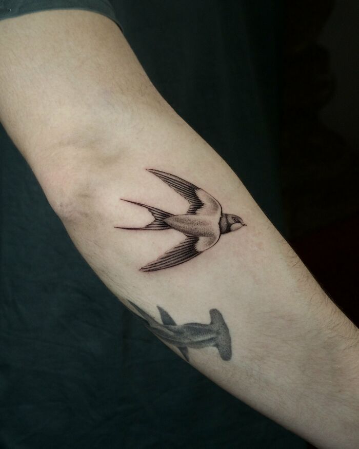 Sky Rider: Swallow