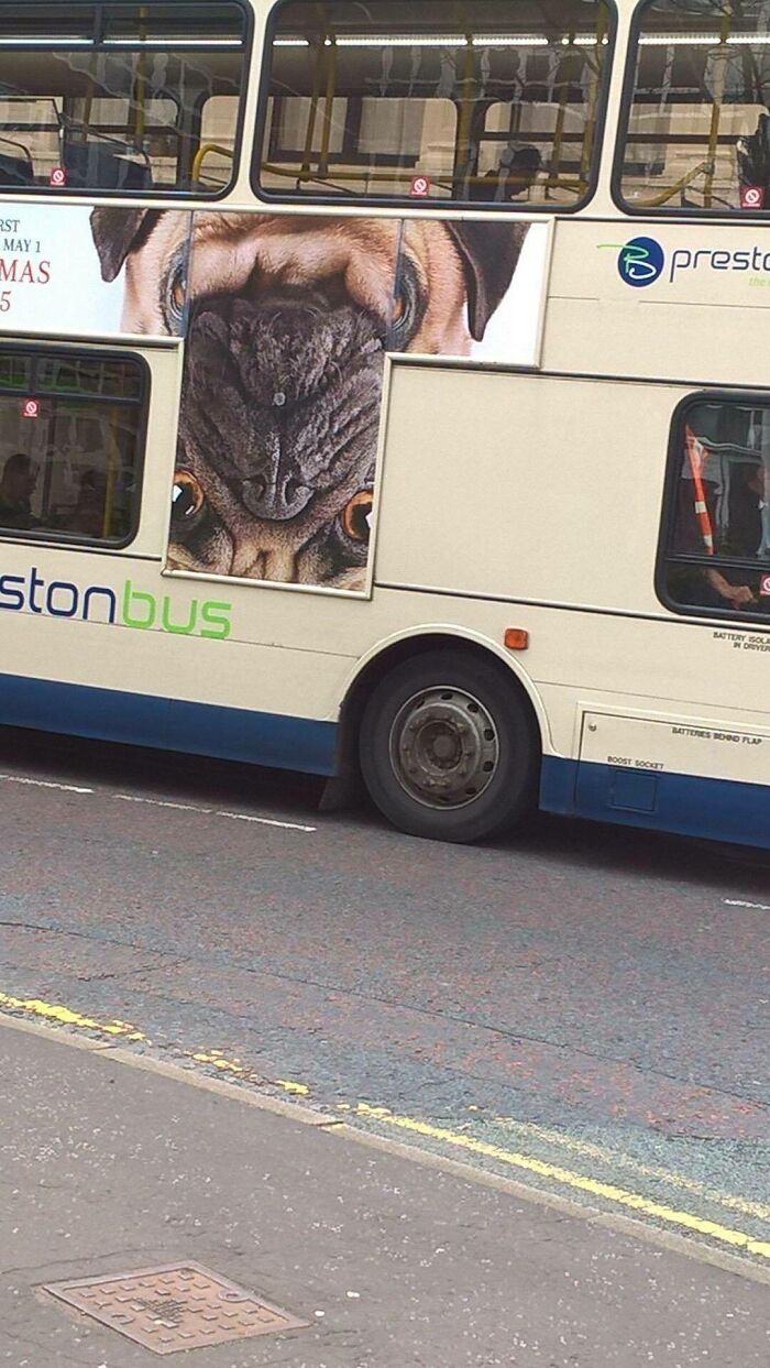 Boss Put Up the Ad... Kinda