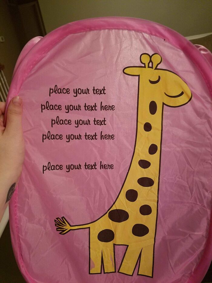 Laundry Hamper With Words of... Questionable Inspiration