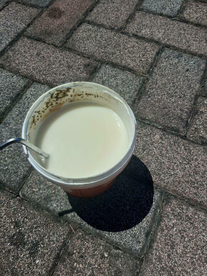 Anti-Mold Paint That Molded in the Can