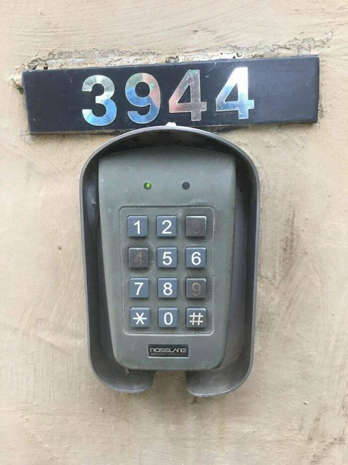 Security System Training? Yep, Somehow