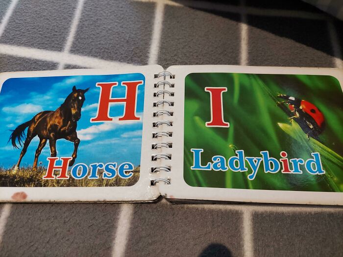 Couldn’t Think of an Animal Starting with 'I'? This Happened