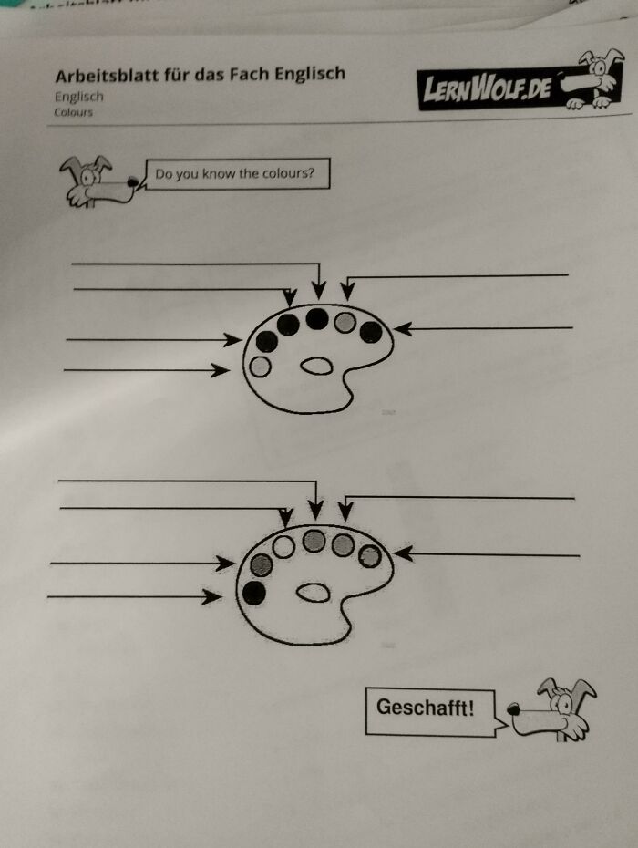 Found This Gem at My School