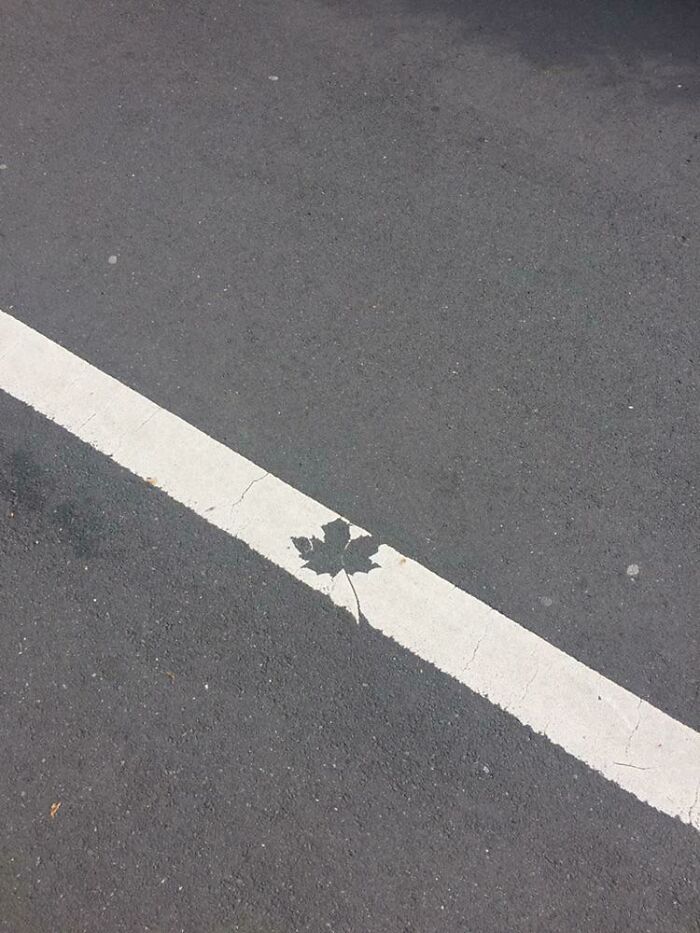 Can't Believe They’d Leave It Like This