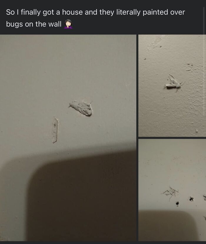 Painter Not an Exterminator—Definitely!