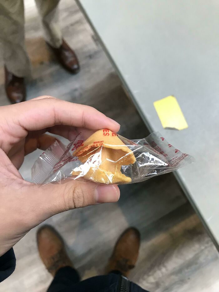 Fortune Cookie Without Fortune? Tragic