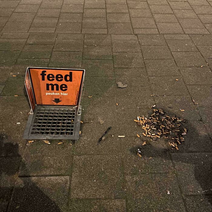 Weirdly Poetic Fail, Why Are People Like This?