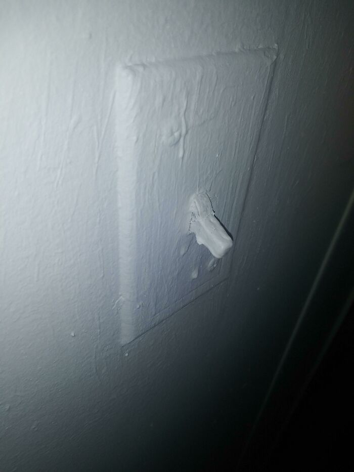 Painted Over the Light Switch Like a Pro