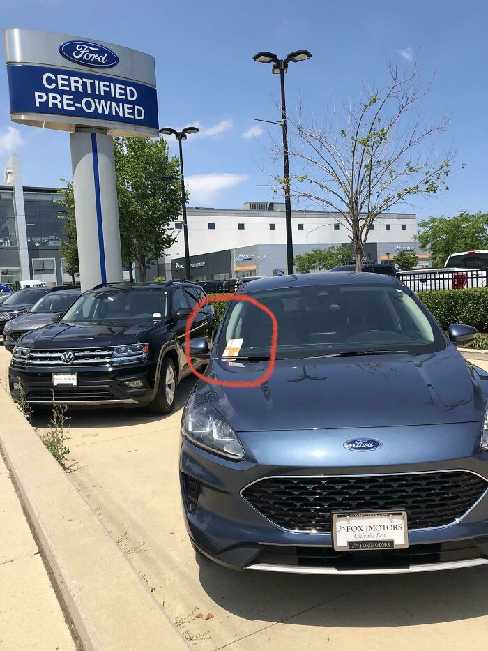 Parking Ticket Person Clearly Confused