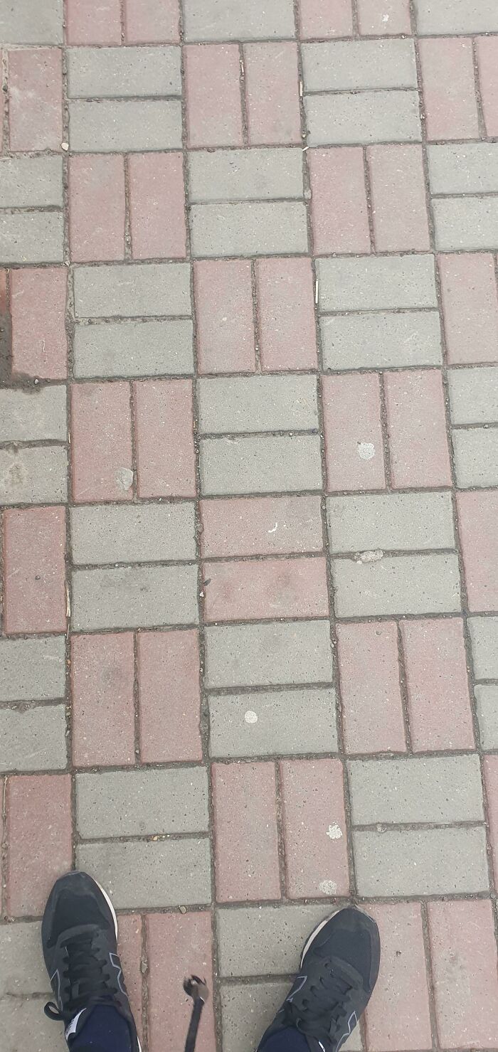 Walked This Road for a Year, Just Found This