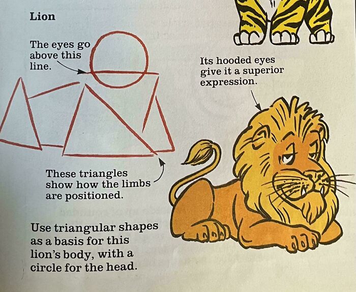 26 Hilariously Useless Instructions That'll Have You Scratching Your Head