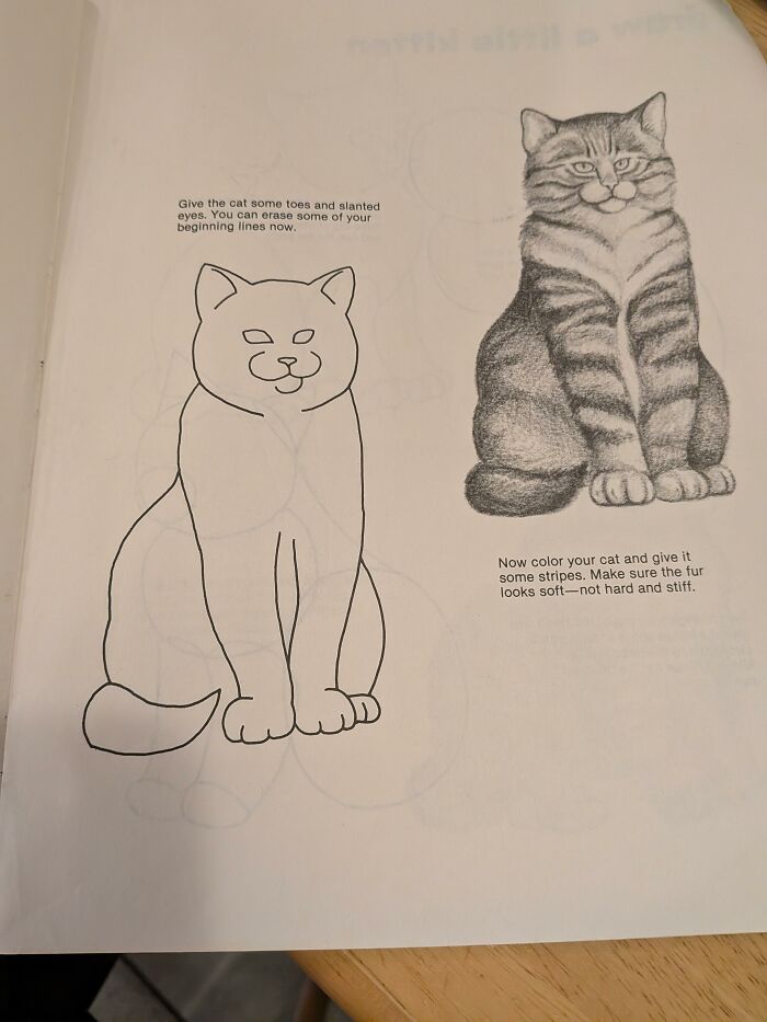 26 Hilariously Useless Instructions That'll Have You Scratching Your Head