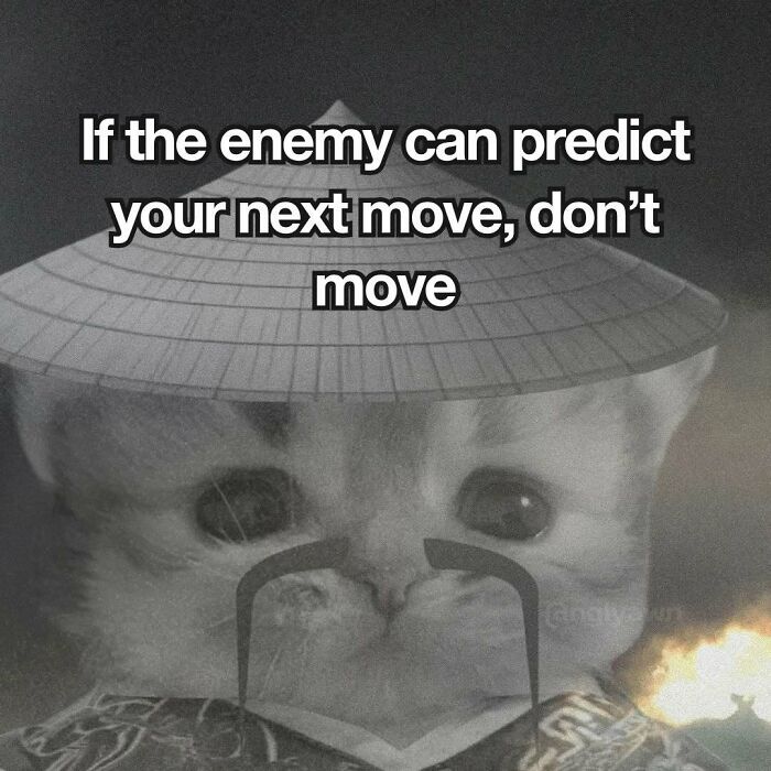 The 87 Funniest Cat Memes That Will Totally Get You