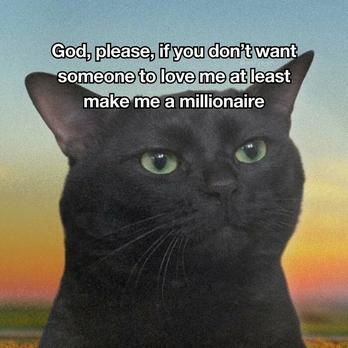 The 87 Funniest Cat Memes That Will Totally Get You