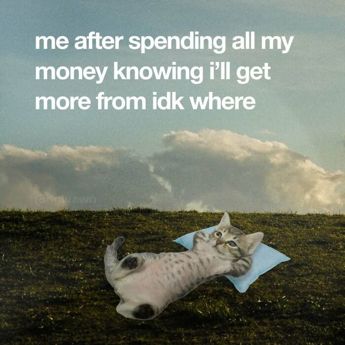 The 87 Funniest Cat Memes That Will Totally Get You