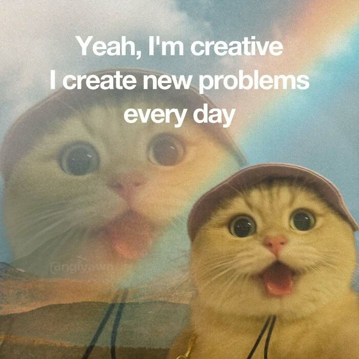 The 87 Funniest Cat Memes That Will Totally Get You