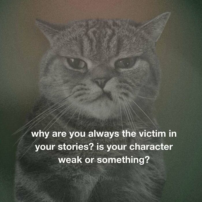 The 87 Funniest Cat Memes That Will Totally Get You