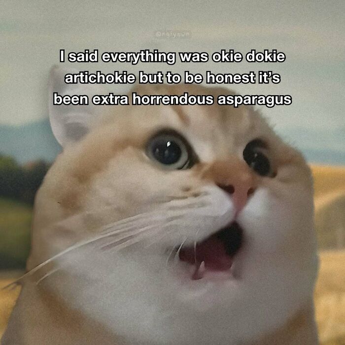 The 87 Funniest Cat Memes That Will Totally Get You