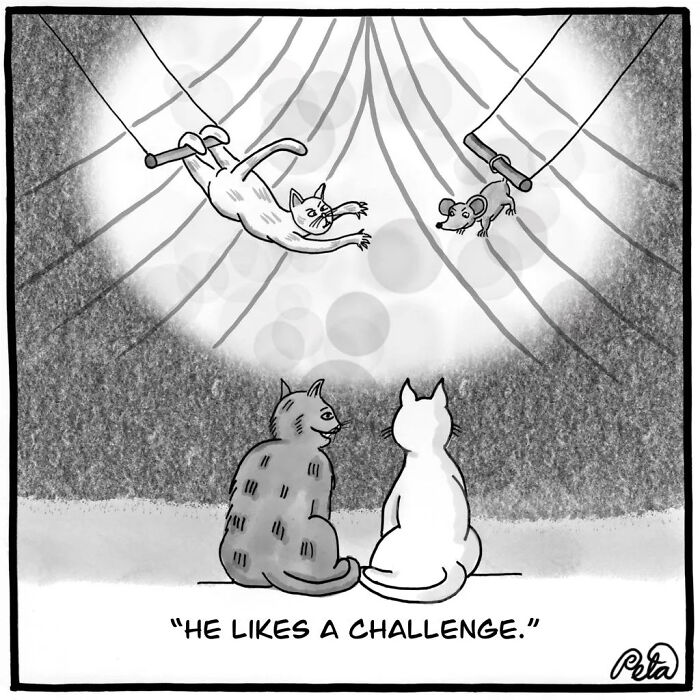 Let's Laugh at Life’s Weird Little Moments with These 30 Hilarious Cartoons