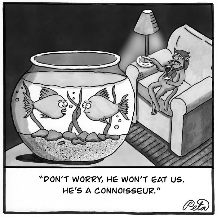 Let's Laugh at Life’s Weird Little Moments with These 30 Hilarious Cartoons