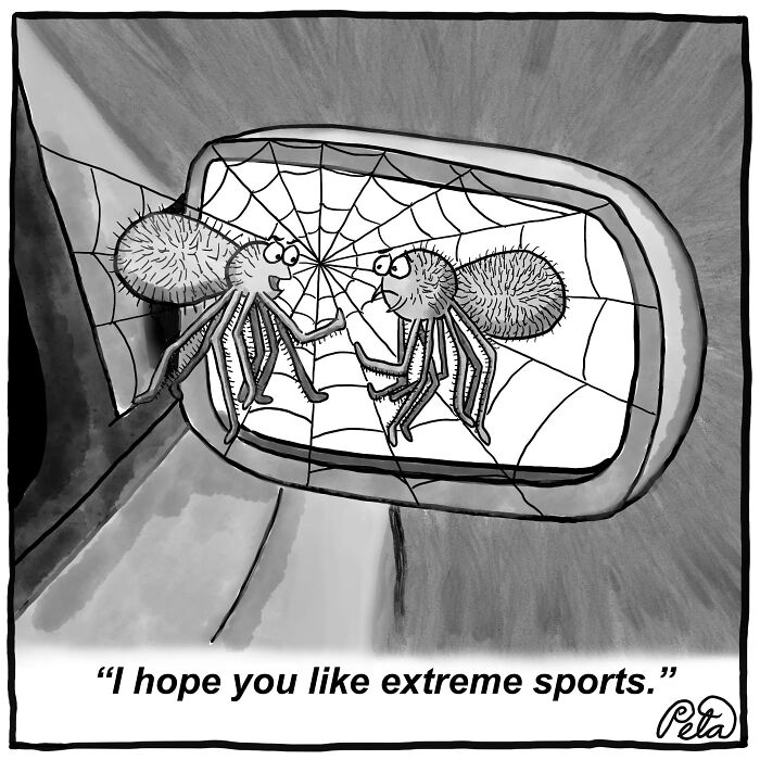 Let's Laugh at Life’s Weird Little Moments with These 30 Hilarious Cartoons