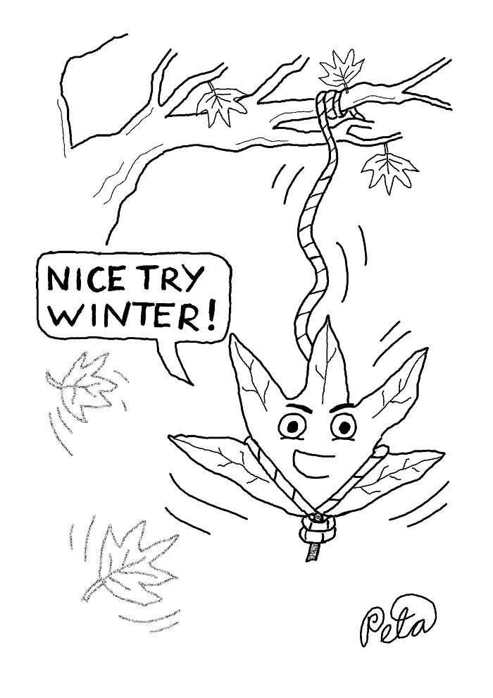 Let's Laugh at Life’s Weird Little Moments with These 30 Hilarious Cartoons